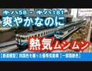 【鉄道模型】四国色を纏った優等気動車【一部国鉄色】