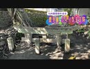【ゆっくり】鹿児島 ぶらり気まま旅 その7 桜島を探訪する