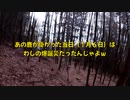 （今日は普通に山歩き回ｗ）変態忍者の、有害鳥獣駆除従事活動記・その２２６