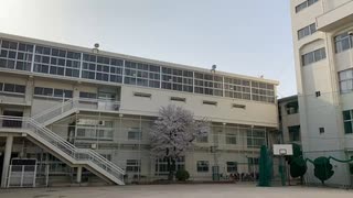 傍観者の青春