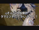 【MHR:SB】超カムラ人琴葉葵のサンブレイク part24