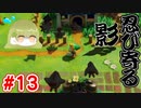 【再投稿】【ゼルダの伝説 夢をみる島】この影は…!?#13
