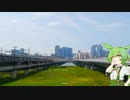 老眼でガンプラが作れないずんだもん