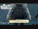 今更初見でライザのアトリエ実況　Part14