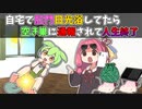 自宅で肛門日光浴してたら空き巣に通報されて人生終了【ずんだもん】