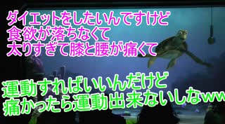 太りすぎて膝と腰が痛くて。痛かったら運動出来ないしなｗｗｗ【タートルトーク】東京ディズニーシー