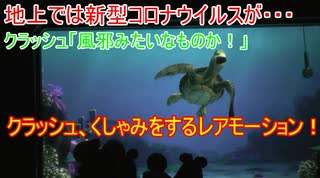 【新型コロナ】クラッシュ「風邪みたいなものか！」【タートルトーク】東京ディズニーシー