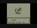 【めざせポケモンマスター】ポケモンマスターを目指して！～毛刈り隊の基地ばりにロケット団のアジトを壊滅させる前編～【ポケットモンスター赤】