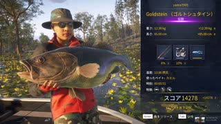 THE ANGLER ゴルトシュタインを釣るずんだもん