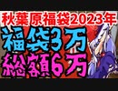 2023年私は秋葉原で福袋を大量購入してしまいました...
