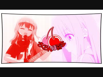 さくらんぼ喜多