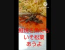 鮭塩焼きにもいそ松葉あうよ許してやれよ鮭焼き魚かな違った情優しさかな