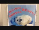 ぶらり散歩　#12　2023/1/16