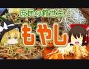 【ゆっくり解説】もやしの栄養について解説！