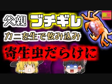 【2022年中国】娘を挟んだカニに復讐 生のままバリバリとかみ砕いて食べた父親 体が寄生虫だらけに… 【ゆっくり解説】