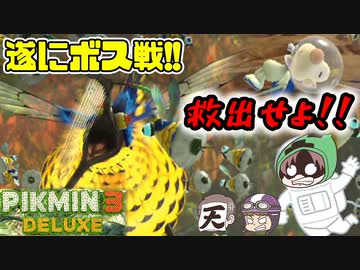 ピクミン3デラックス　＃25