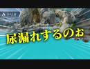 ショットガン縛りでチャンピオンを目指す！！【APEX】
