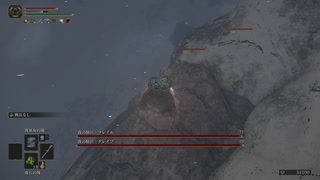 ELDEN RING 夜の騎兵２体 簡単撃破 lv1 未強化