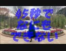 【n回目の曖昧な】45秒【踊ってみた】