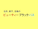 ビューティーブラックバス (2007.5.10?)