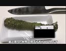 真実.mp4