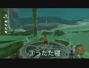 リンクを放置したときのモーション集