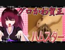 グロかわちゃんのハムスターの日常。15