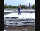 ホモと見る　職人技
