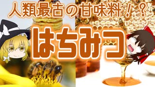 【ゆっくり解説】はちみつの栄養について解説！