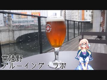 【買い出し日記】神田川の橋とビール
