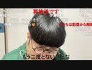 ニンポー（千代豊和）つらいです