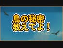 #332 【実況】俺もサーヴァントがほしい！【FGO】第2部 ゲッテルデメルング その31