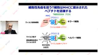 Ｔ細胞のウイルス認識は抗体のウイルス認識と異なる