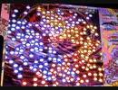 ｢実況｣東方紺珠伝　ノーマル完全無欠モードクリア目指す#５