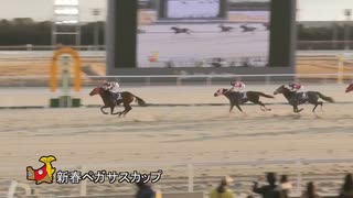 第25回新春ペガサスカップ リストン