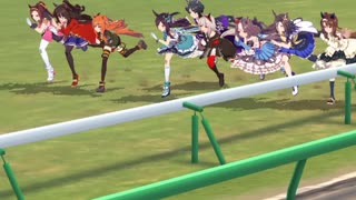 ウマ娘 プリティーダービー　チャンピオンズミーティング　カプリコーン杯