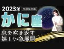 【2023 かに座】2023年蟹座の運勢　息を吹き返す　嬉しい急展開