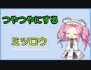 [voicevox解説]　つやつやにする　ミツロウ