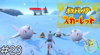 気づいたら同じポーズしてる～【ポケモンスカーレット】実況プレイpart23