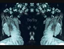 TryTry / 歌ってみた【TaNo】