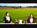 都丸ちよと春瀬なつみのぱかぱか競馬塾 第97R【京成杯】後半