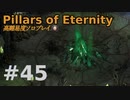 【ゆっくり実況】貧弱流され魔術師のダイアウッド一人旅45