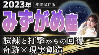 【2023 みずがめ座】2023年水瓶座の運勢　試練と打撃からの回復　奇跡×現実創造