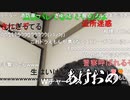 ニンポー（千代豊和）好きだった