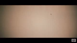 Stella ー　ヒプマイ  （練習用）