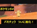 【初見プレイ実況】過去一にポケモン捕まえた！ポケモンスカーレット　図鑑完成を目指す【part15】
