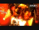 【地球防衛軍5】欲望むき出し理性縛り【EDF5】part34