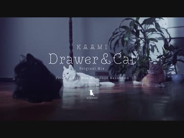 (星尘&花隈千冬) Drawer & Cat (Original Mix)