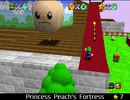 紹介するほどでもない改造マリオ64シリーズ【Princess Peach's Fortress編】