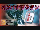 アメリカ政府が世界初のミツバチ用ワクチンを承認。今度はミツバチを標的に。